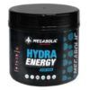 Hydra Energy